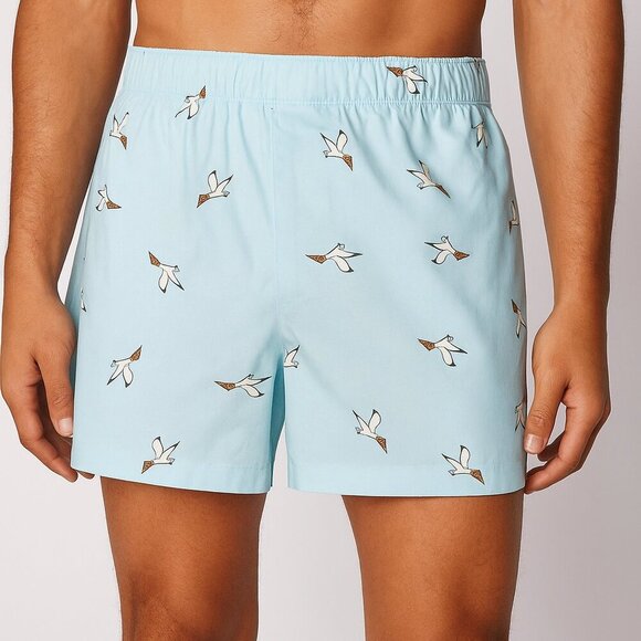 J. Crew Other - NWT J. Crew Blue Seagull Pizza Print 100% Cotton Boxers Unisex Size Medium